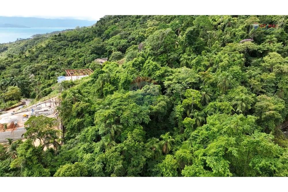 Terreno - Venda - Ilhabela , São Paulo - 1.jpeg - 630951006-34
