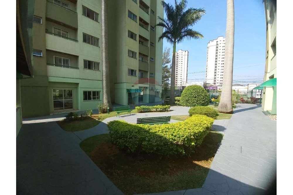 Apartamento - Alugar - São José dos Campos , São Paulo - 22.jpg - 631471001-134