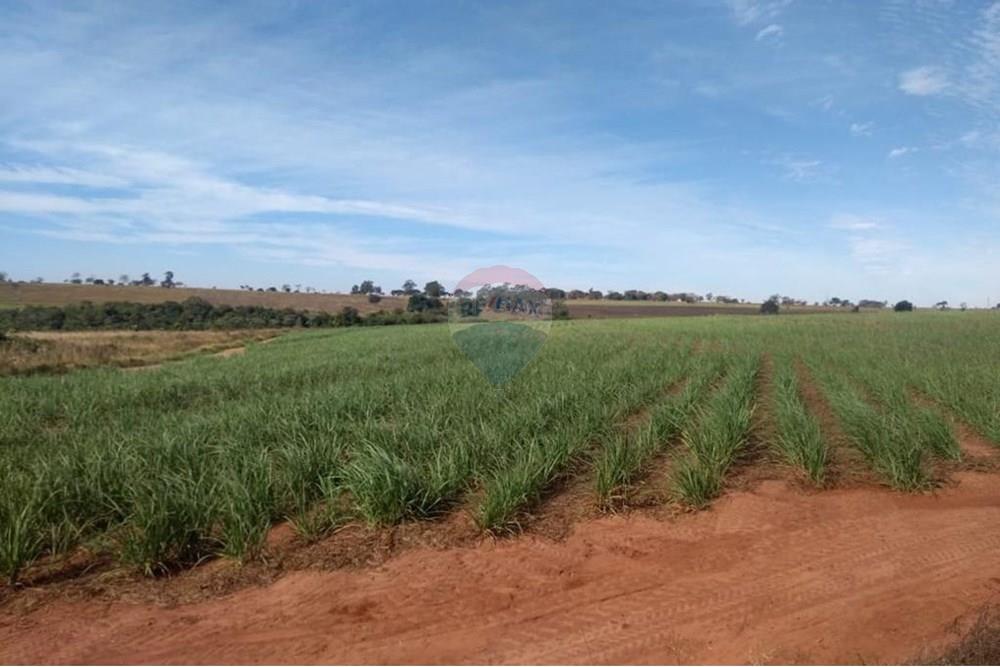 Chácara / Sítio / Fazenda - Venda - Pereira Barreto , São Paulo - WhatsApp Image 2024-11-04 at 19.54.13 (1).jpeg - 630541038-15