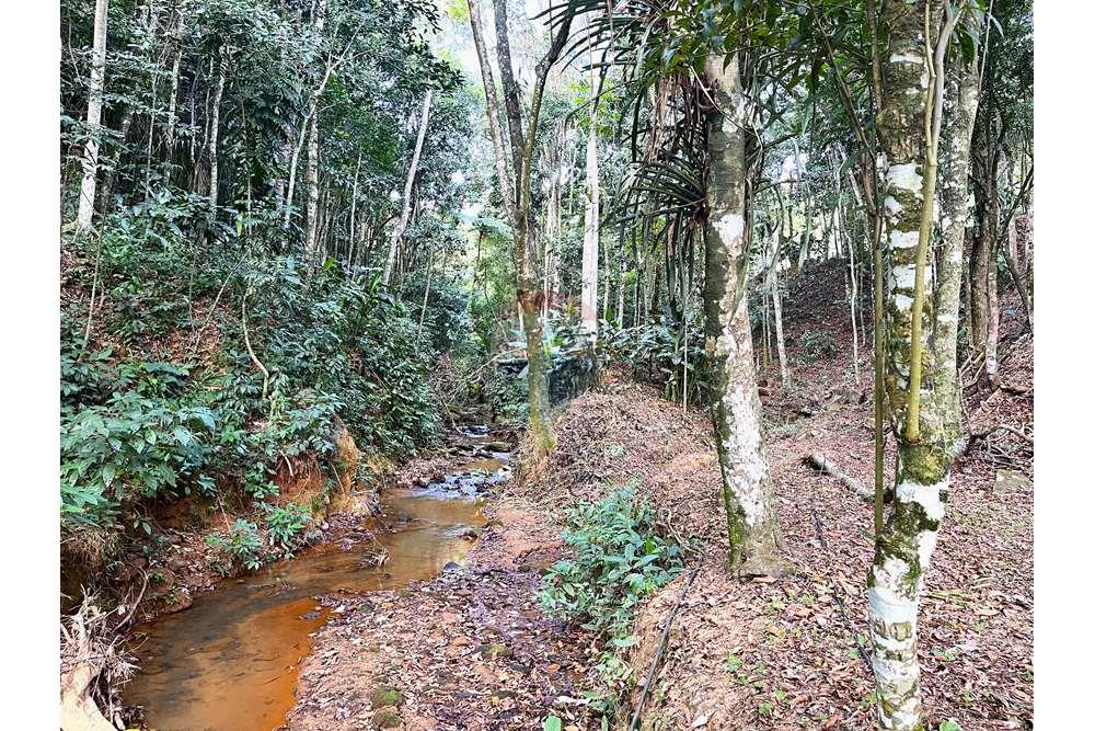 Chácara / Sítio / Fazenda - Venda - Miguel Pereira , Rio de Janeiro - IMG_2413.JPG - 631261002-81
