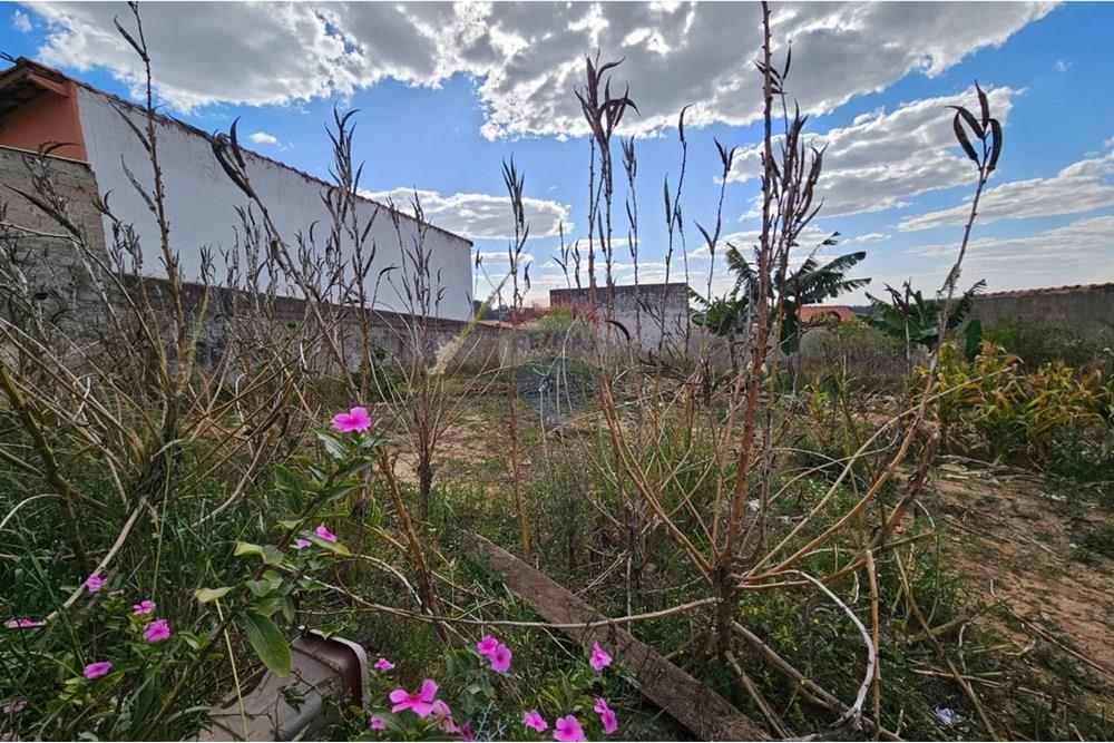 Terreno - Alugar - Salto de Pirapora , São Paulo - IMG-20241107-WA0015.jpg - 631181001-439