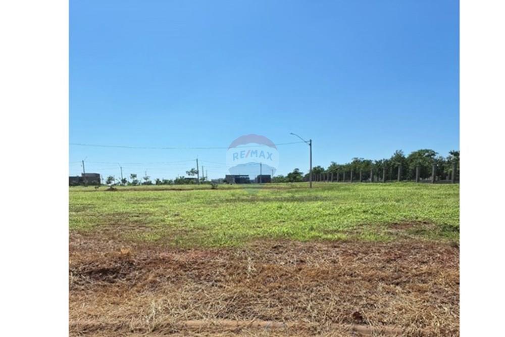 Terreno - Venda - Araçatuba , São Paulo - WhatsApp Image 2025-01-08 at 14.59.53.jpeg - 630541038-22