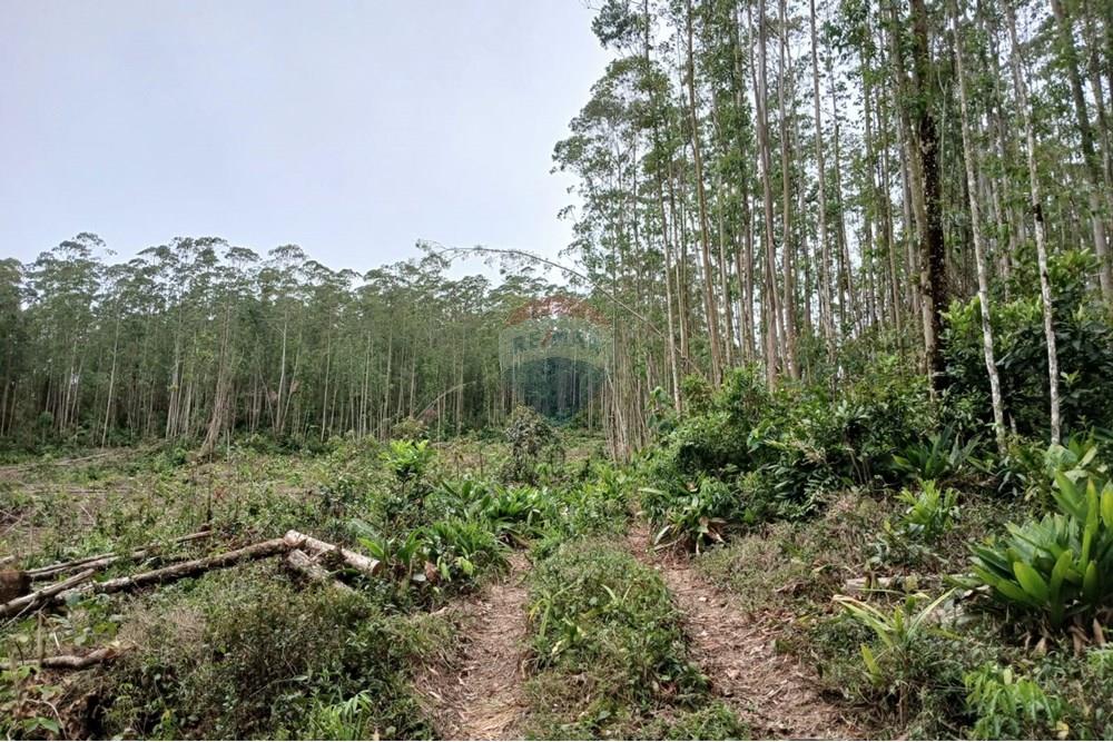 Terreno - Venda - Mogi das Cruzes , São Paulo - WhatsApp Image 2024-11-11 at 11.58.50 (1).jpeg - 631541001-10