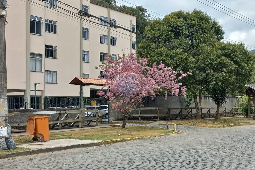 Apartamento - Venda - Nova Friburgo , Rio de Janeiro - e89f9042-85f8-4947-9741-19c6ecf3f9e7.jpg - 630551037-35