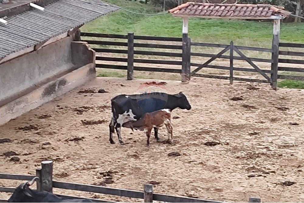 Chácara / Sítio / Fazenda - Venda - Duas Barras , Rio de Janeiro - 14.jpg - 630171001-39
