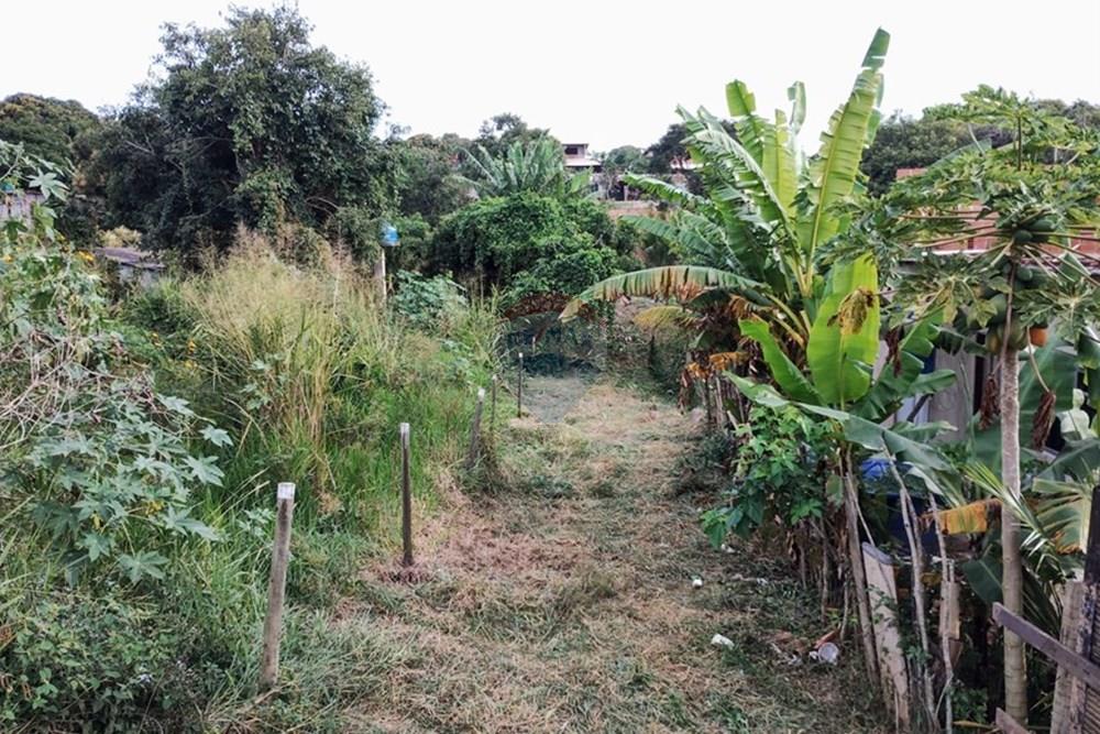 Terreno - Venda - Armação dos Búzios , Rio de Janeiro - WhatsApp Image 2025-05-29 at 13.33.28 (2).jpeg - 630391085-9