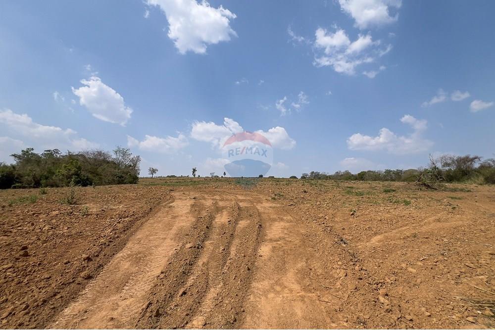 Terreno - Venda - Boituva , São Paulo - IMG_3588_DNG.jpg - 630601137-102