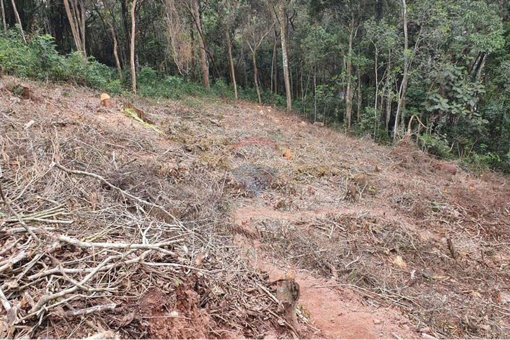 Terreno - Venda - Arujá , São Paulo - 2.jpeg - 631491020-45