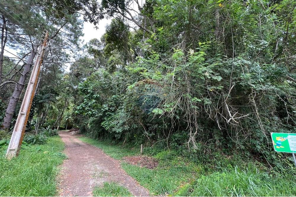 Terreno - Venda - Teresópolis , Rio de Janeiro - Imagem do WhatsApp de 2025-01-30 à(s) 16.57.05_4e0d67ea.jpg - 630191071-4