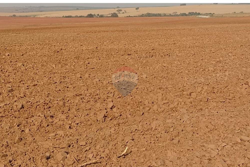 Chácara / Sítio / Fazenda - Venda - Tupã , São Paulo - WhatsApp Image 2024-10-18 at 20.43.07 (2).jpeg - 630541038-17