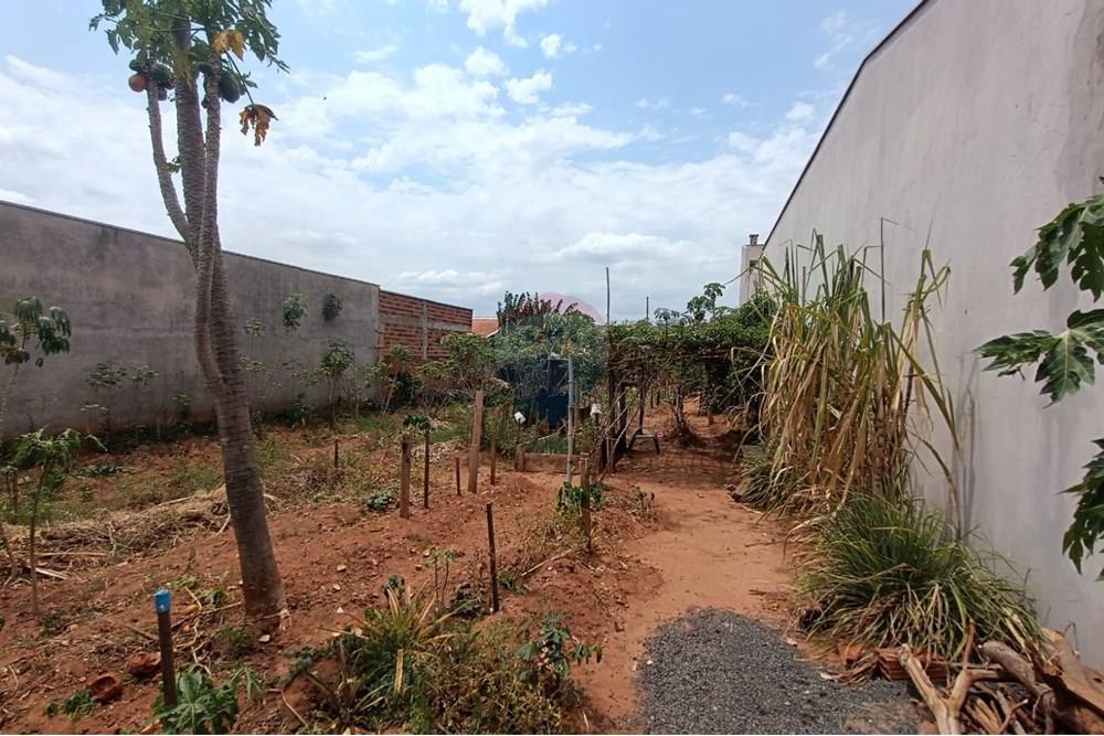 Terreno - Venda - Presidente Prudente , São Paulo - WhatsApp Image 2025-10-10 at 13.15.36 (1).jpeg - 630861066-6