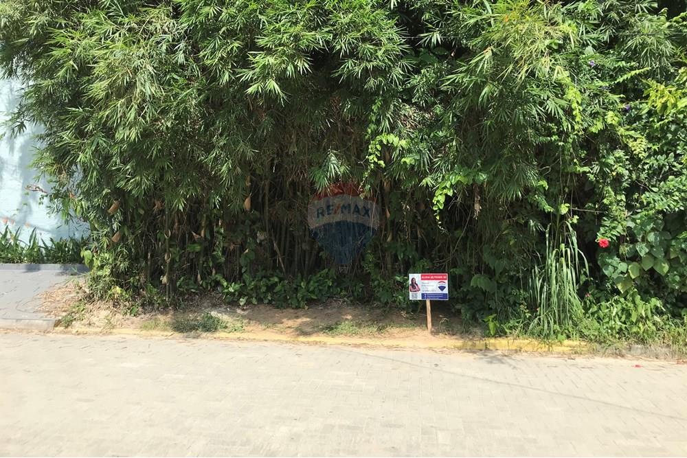 Terreno - Venda - São Sebastião , São Paulo - IMG_0231.jpg - Fachada - 631461002-28