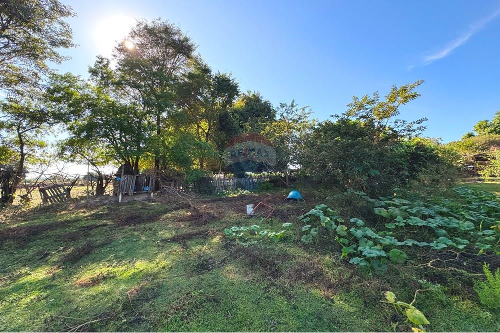 Chácara / Sítio / Fazenda - Venda - Araçatuba , São Paulo - 20250604_124251667_iOS.jpg - 630541038-46