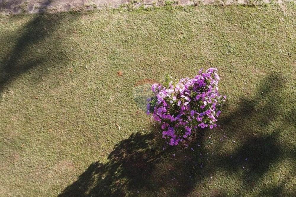 Fazenda - Venda - Teresópolis , Rio de Janeiro - DJI_0523.JPG - 630191078-25