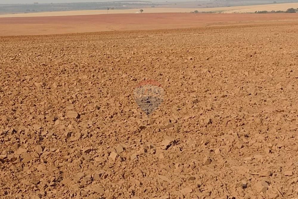 Chácara / Sítio / Fazenda - Venda - Tupã , São Paulo - WhatsApp Image 2024-10-18 at 20.43.10 (4).jpeg - 630541038-17