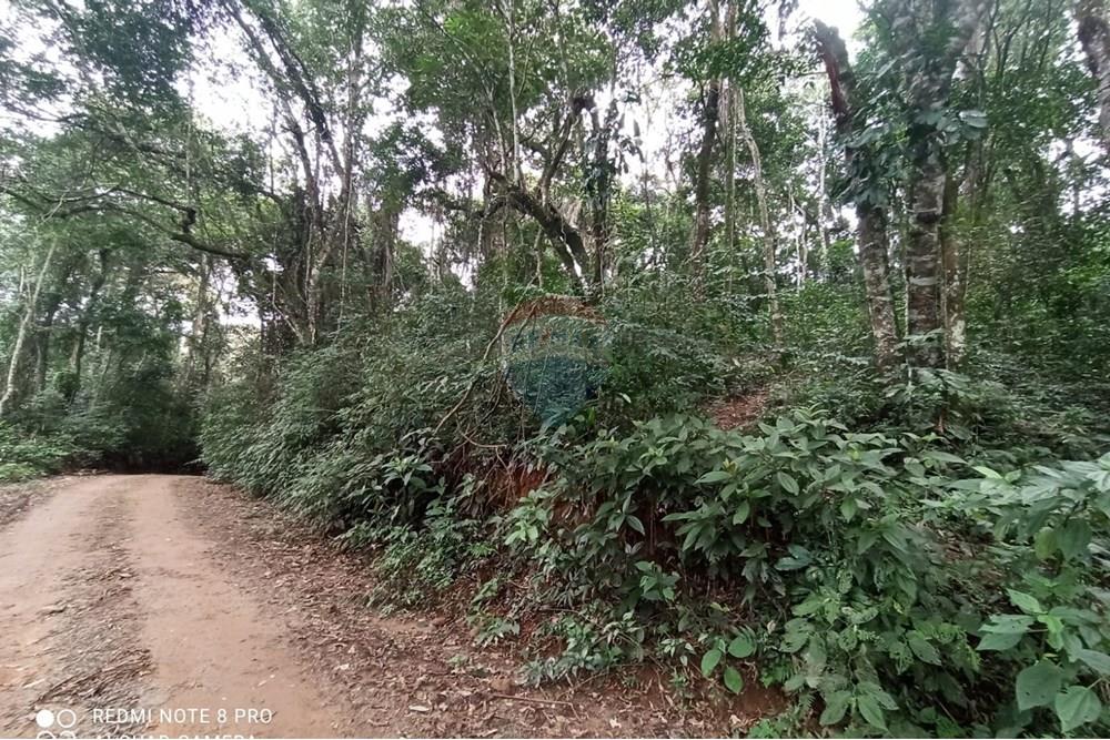 Terreno - Venda - Mairiporã , São Paulo - WhatsApp Image 2025-07-28 at 23.50.16 (3).jpeg - 631361025-37