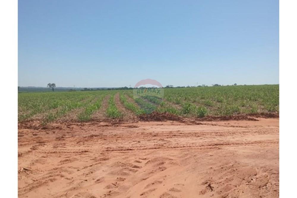 Chácara / Sítio / Fazenda - Venda - Valentim Gentil , São Paulo - WhatsApp Image 2024-11-17 at 09.37.11 (1).jpeg - 630541038-19