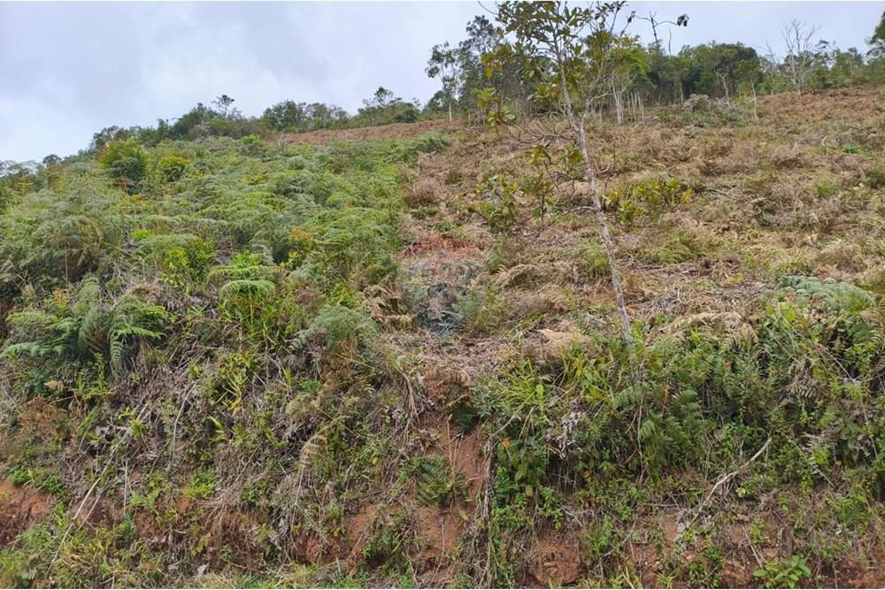 Terreno - Venda - Teresópolis , Rio de Janeiro - IMG-20250613-WA0012.jpg - 630191078-39