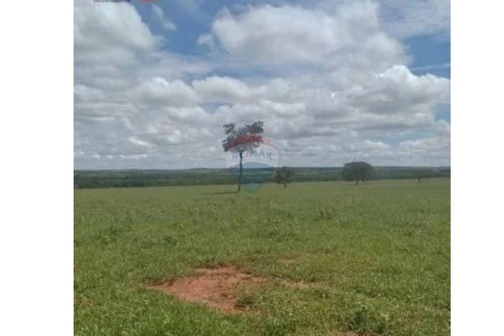 Chácara / Sítio / Fazenda - Venda - Junqueirópolis , São Paulo - WhatsApp Image 2024-10-26 at 10.20.00.jpeg - 630541038-36