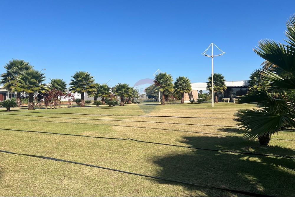 Terreno - Venda - Birigui , São Paulo - IMG_0595.jpg - 630851048-14