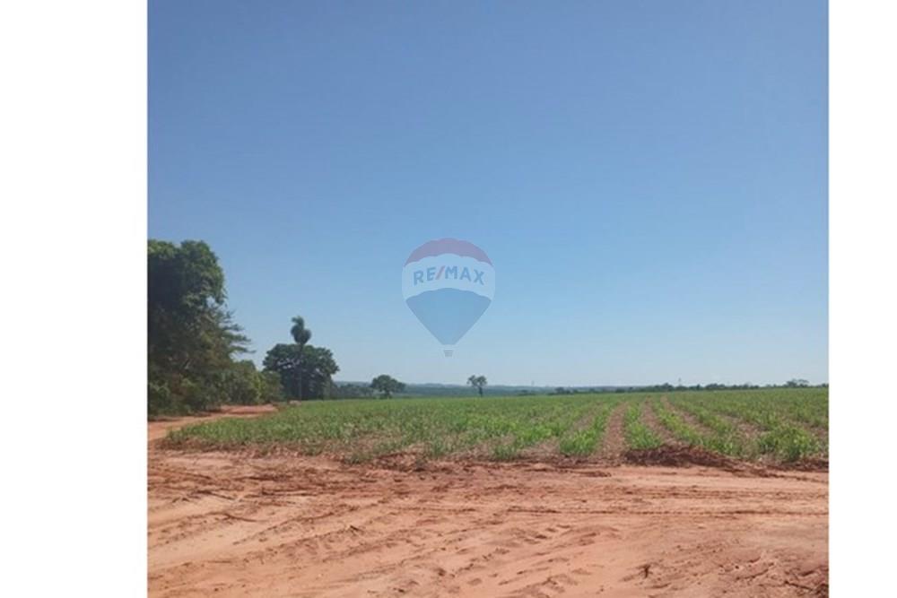 Chácara / Sítio / Fazenda - Venda - Valentim Gentil , São Paulo - WhatsApp Image 2024-11-17 at 09.37.12.jpeg - 630541038-19