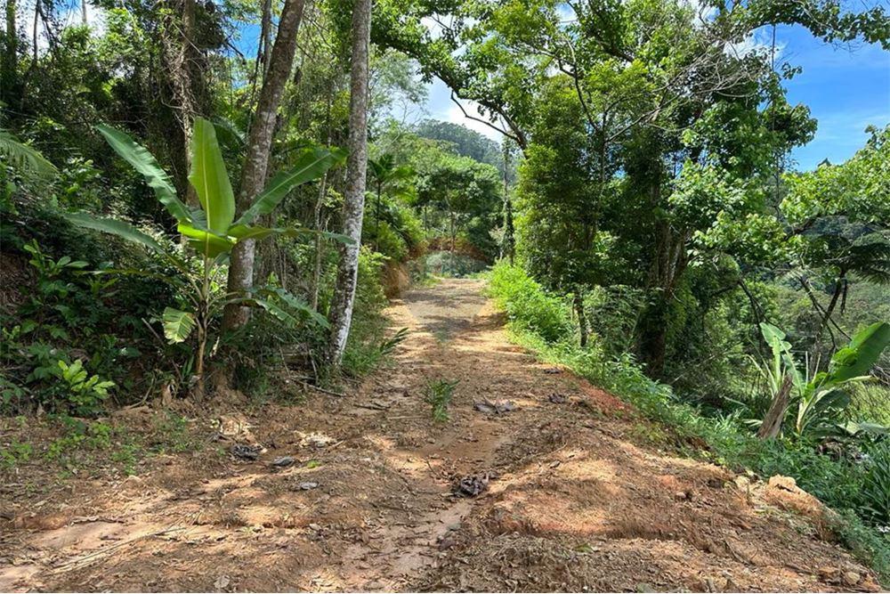 Terreno - Venda - Nova Friburgo , Rio de Janeiro - 51 - 630551016-143