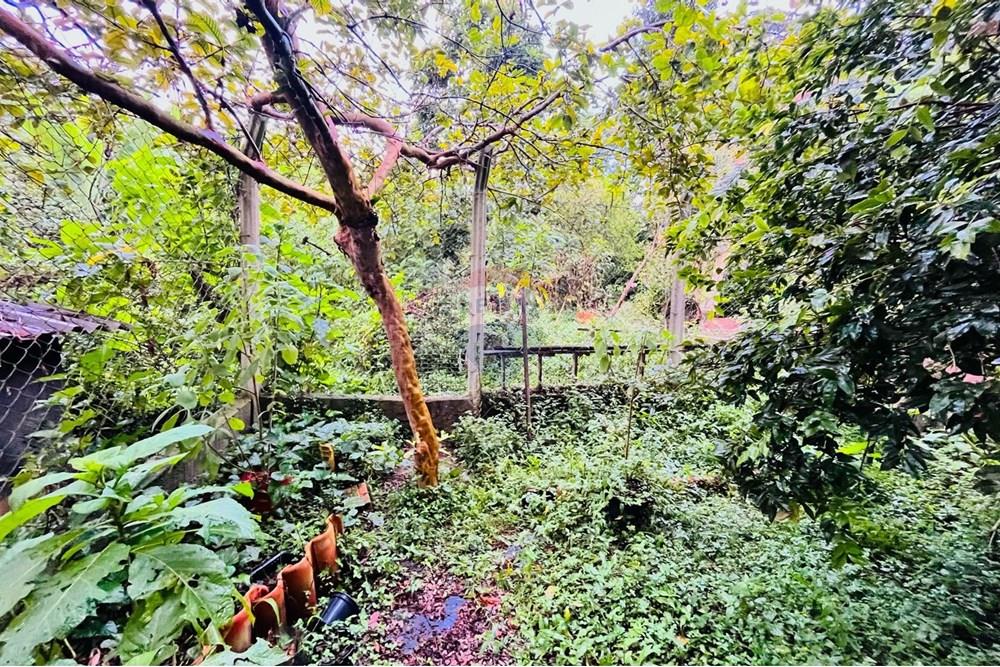 Sobrado - Venda - Mogi das Cruzes , São Paulo - WhatsApp Image 2025-03-31 at 10.05.35.jpeg - 630281055-34