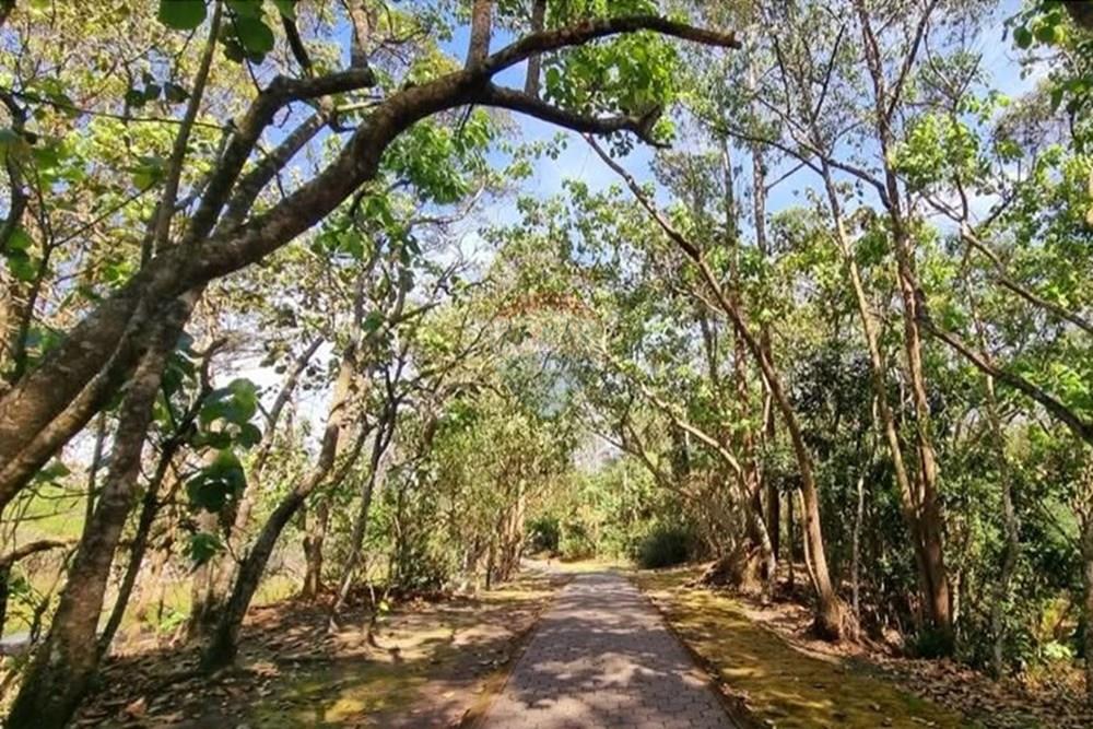 Apartamento - Alugar - Mogi das Cruzes , São Paulo - WhatsApp Image 2025-06-02 at 01.27.31.jpeg - 630281041-103