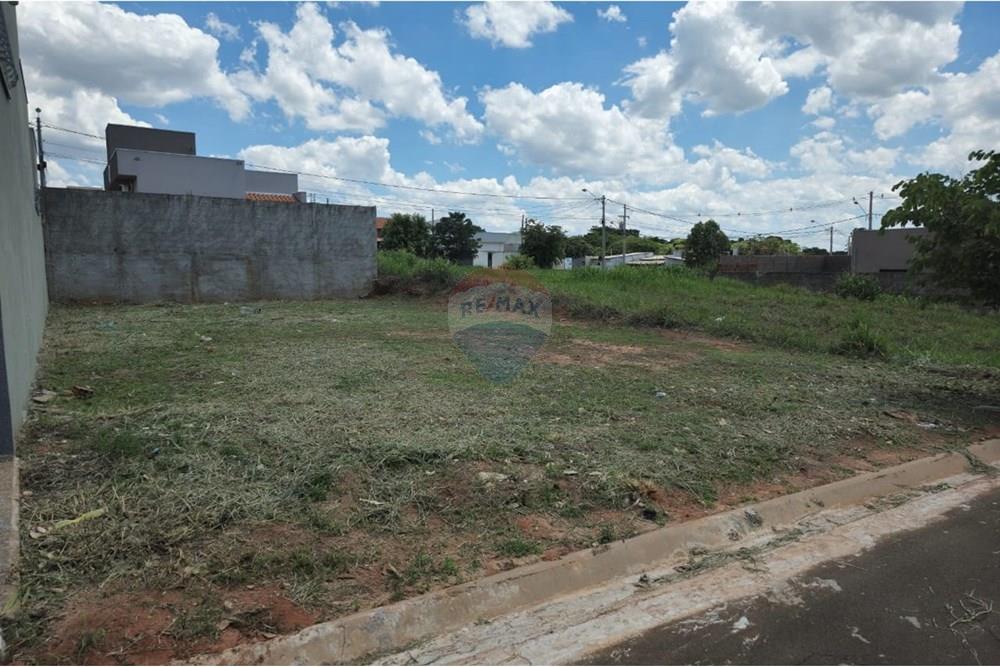 Terreno - Venda - Cedral , São Paulo - WhatsApp Image 2024-11-11 at 15.33.01 (1).jpeg - 631481001-5