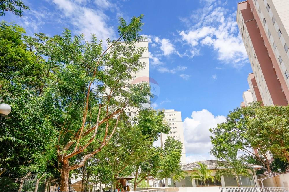 Apartamento - Venda - Sorocaba , São Paulo - _MG_5278.jpg - 630601262-36