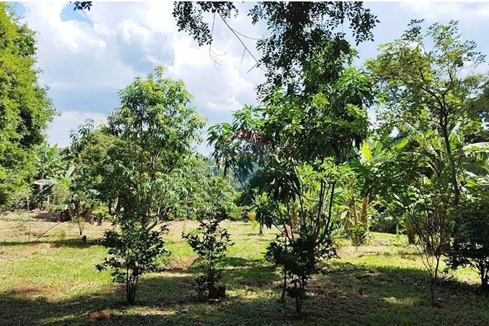 Chácara / Sítio / Fazenda - Venda - Cabreúva , São Paulo - WhatsApp Image 2025-01-07 at 15.47.00 (2).jpeg - 630531012-40