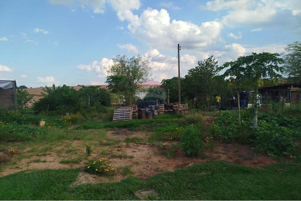 Chácara / Sítio / Fazenda - Venda - Tupã , São Paulo - IMG-20241205-WA0088.jpg - 630151002-125