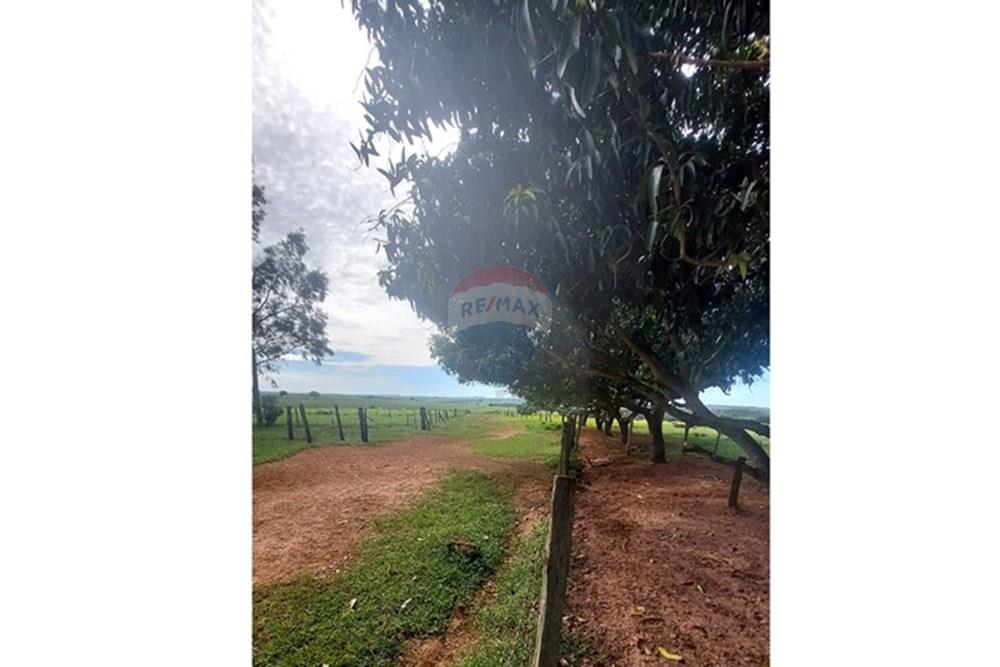 Chácara / Sítio / Fazenda - Venda - Araçatuba , São Paulo - WhatsApp Image 2024-10-29 at 14.36.52 (1).jpeg - 630541038-37