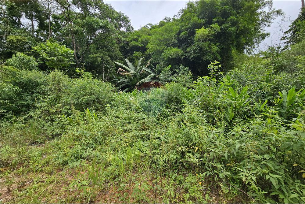 Terreno - Venda - Nova Friburgo , Rio de Janeiro - 30 - 630551016-143