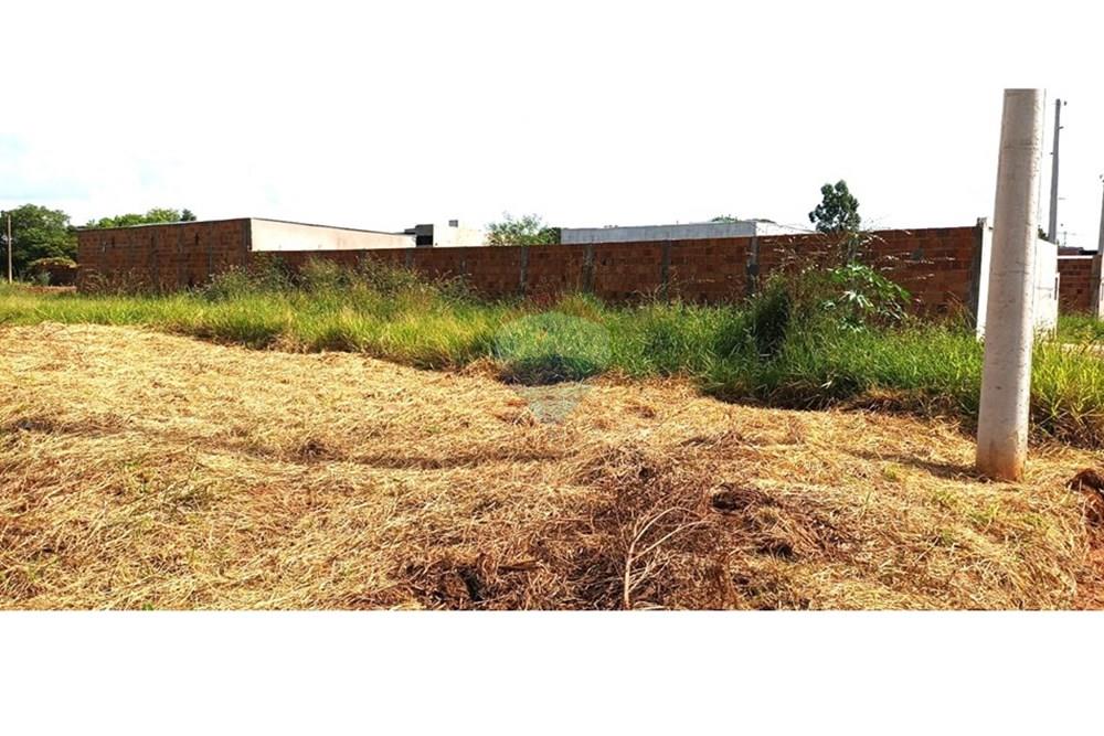 Terreno - Venda - Andradina , São Paulo - Terreno 1.jpg - 631201014-45