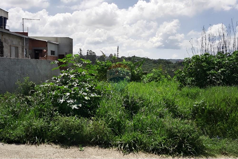 Terreno - Venda - Mairiporã , São Paulo - pixelcut-export (2) (Personalizado).jpg - 631361029-21