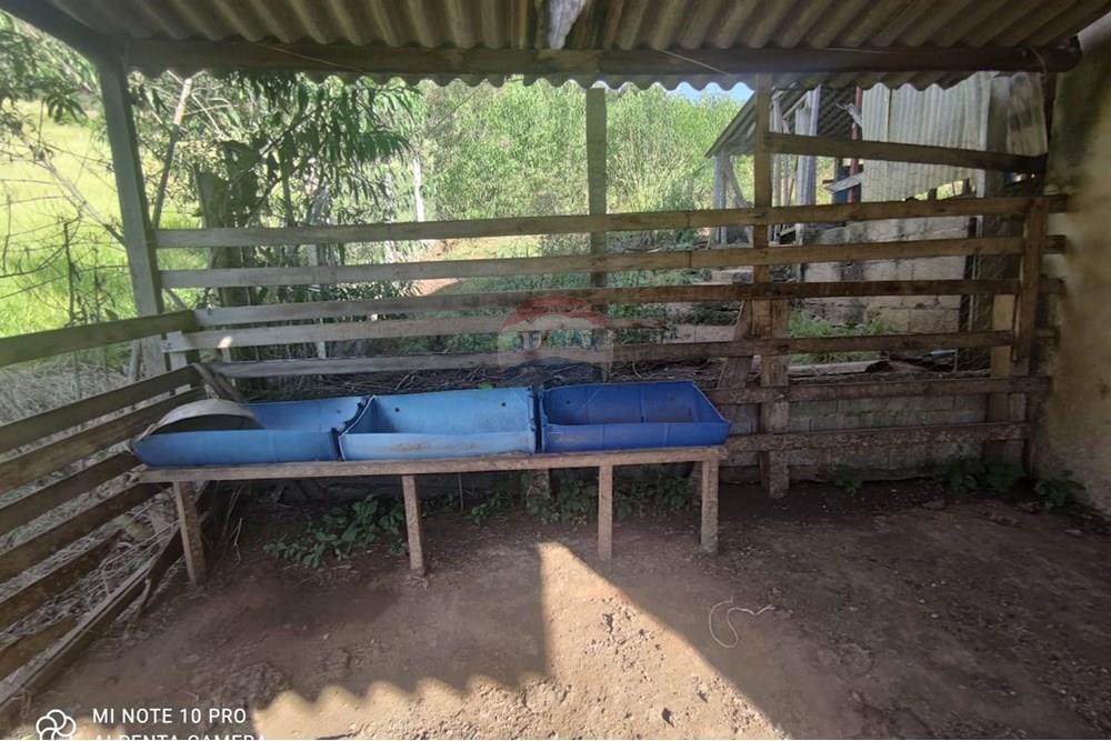 Chácara / Sítio / Fazenda - Venda - Toledo , Minas Gerais - WhatsApp Image 2025-02-28 at 11.28.48.jpeg - 630251077-54