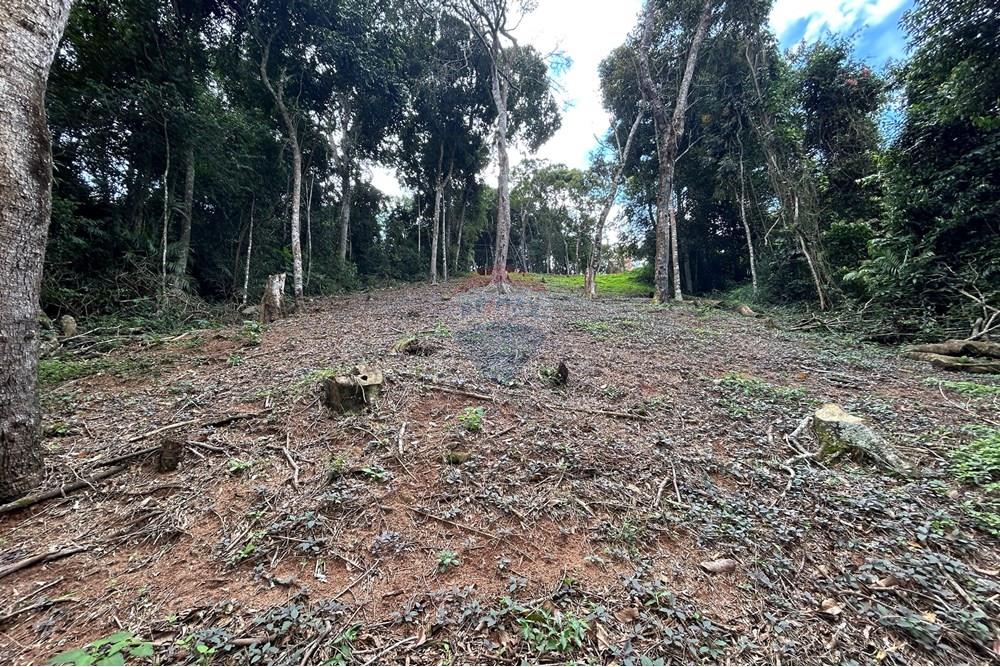 Terreno - Venda - Nova Friburgo , Rio de Janeiro - IMG_0252.JPG - 630551085-21