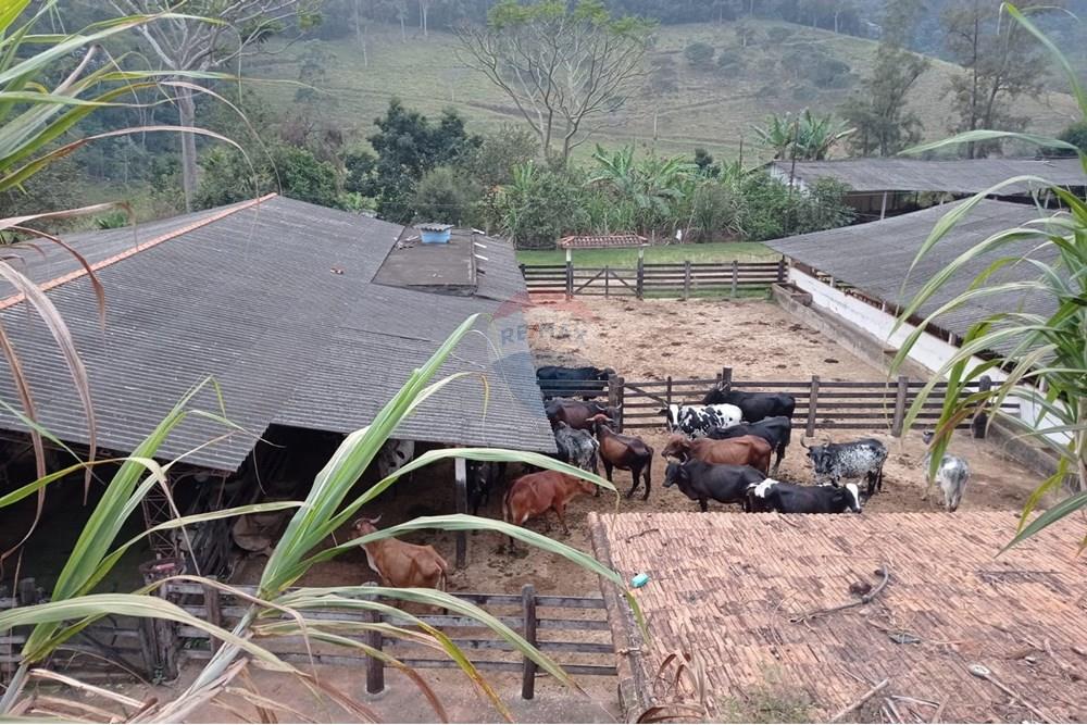 Chácara / Sítio / Fazenda - Venda - Duas Barras , Rio de Janeiro - 20.jpg - 630171001-39
