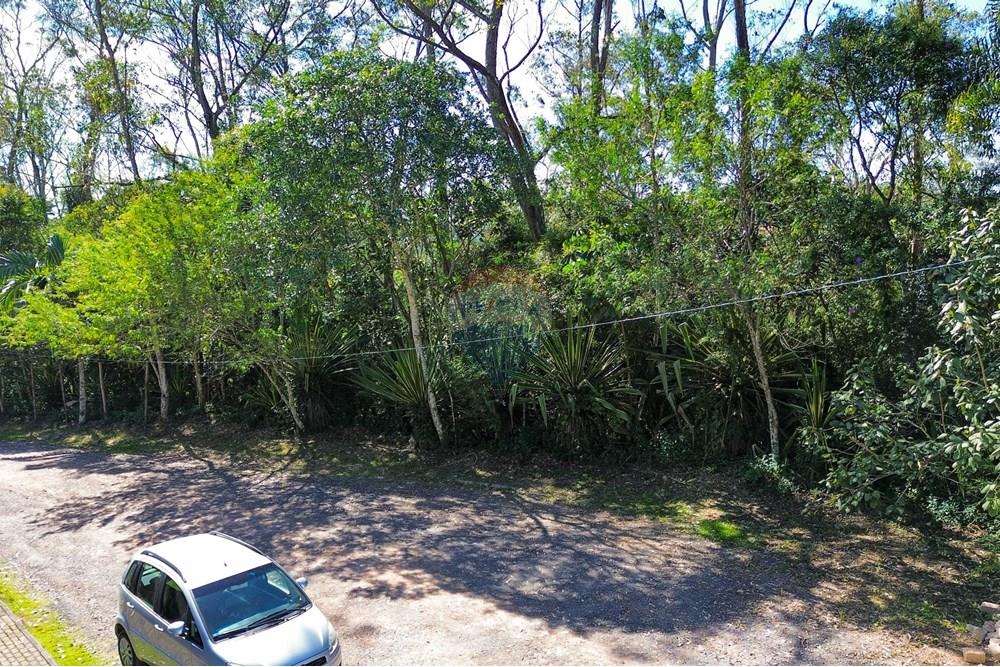 Terreno - Venda - Ribeirão Pires , São Paulo - 10.jpg - 631371011-64