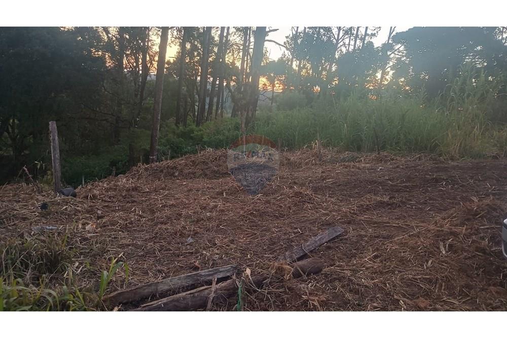 Terreno - Venda - Apiaí , São Paulo - WhatsApp Image 2025-06-05 at 14.41.02.jpeg - 630241006-11