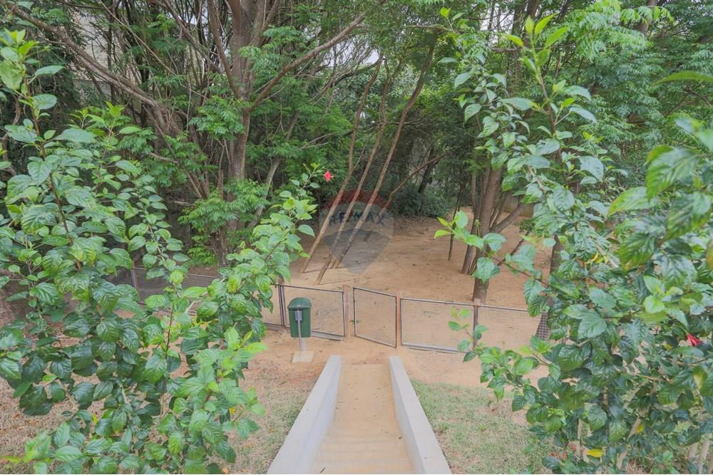 Apartamento - Alugar - Sorocaba , São Paulo - IMG_7535.jpg - 631651012-1