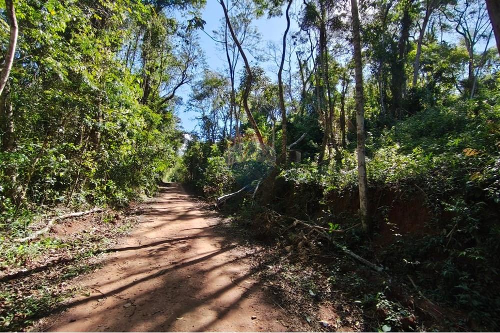 Terreno - Venda - Mairiporã , São Paulo - Terreno rafael 5.jpg - 631361069-8