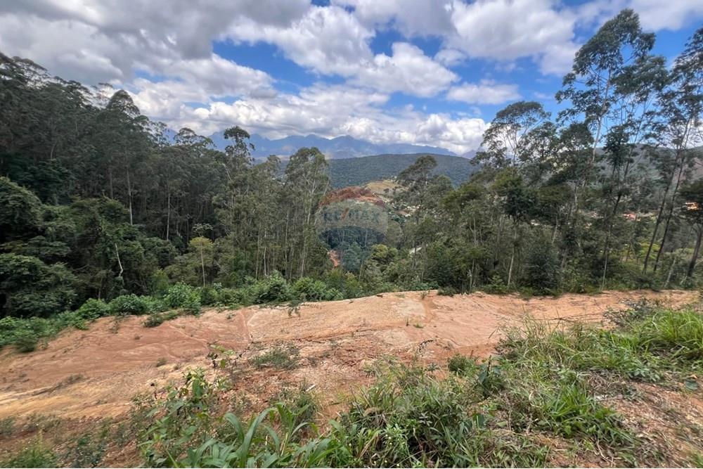 Terreno - Venda - Petrópolis , Rio de Janeiro - WhatsApp Image 2025-08-15 at 16.50.42.jpeg - 630131062-39