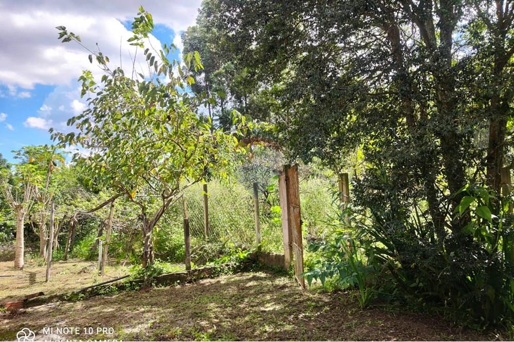 Chácara / Sítio / Fazenda - Venda - Toledo , Minas Gerais - WhatsApp Image 2025-02-28 at 19.58.27.jpeg - 630251077-56