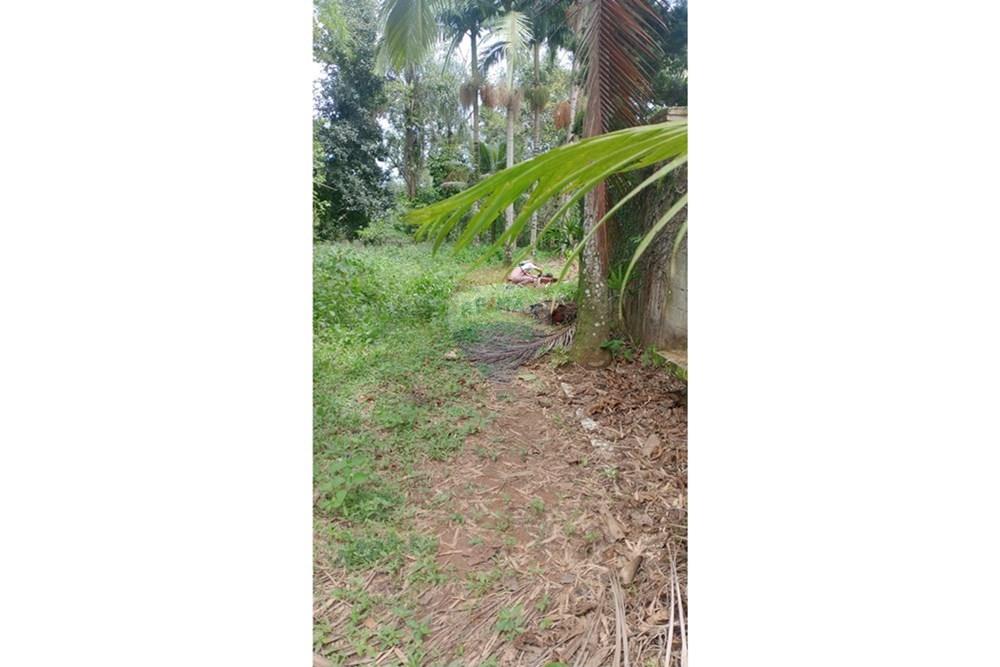 Terreno - Venda - São Sebastião , São Paulo - WhatsApp Image 2025-10-28 at 12.55.09.jpeg - Jardim Externo - 631461002-53