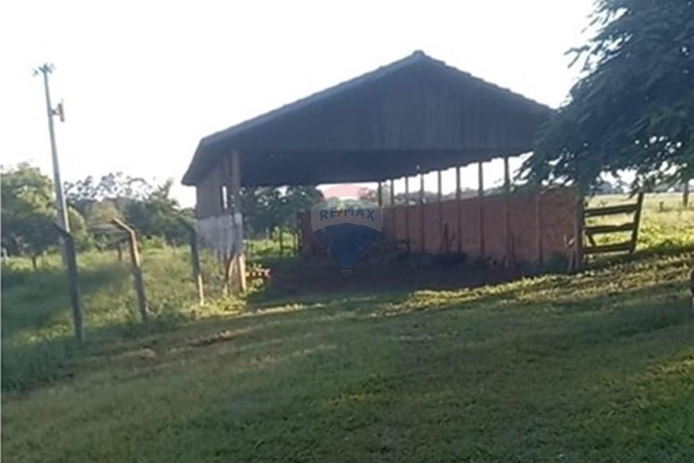 Chácara / Sítio / Fazenda - Venda - Ipiguá , São Paulo - WhatsApp Image 2025-01-20 at 11.07.21 (1).jpeg - 630401027-58