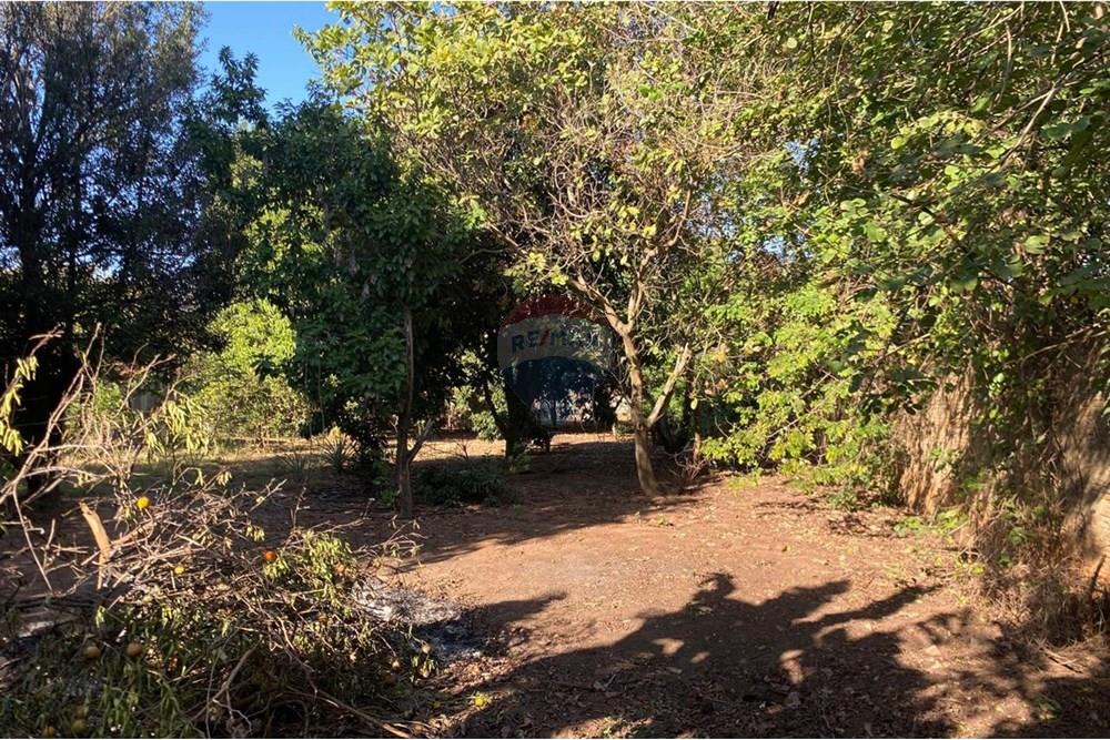 Chácara / Sítio / Fazenda - Venda - Lins , São Paulo - WhatsApp Image 2025-08-12 at 20.28.54 (8).jpeg - 631011037-40