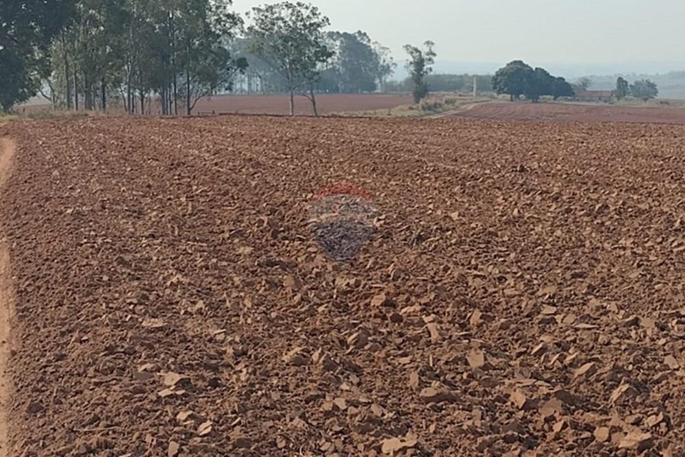 Chácara / Sítio / Fazenda - Venda - Tupã , São Paulo - WhatsApp Image 2024-10-18 at 20.43.07 (1).jpeg - 630541038-17