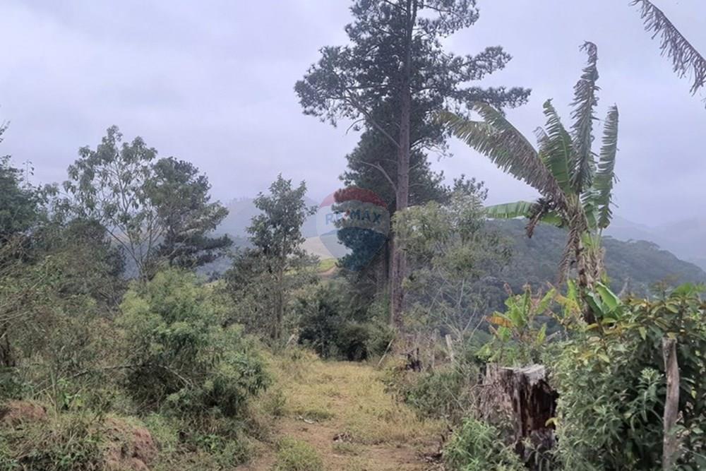 Fazenda - Venda - Teresópolis , Rio de Janeiro - 20250702_154120.jpg - 630191078-25